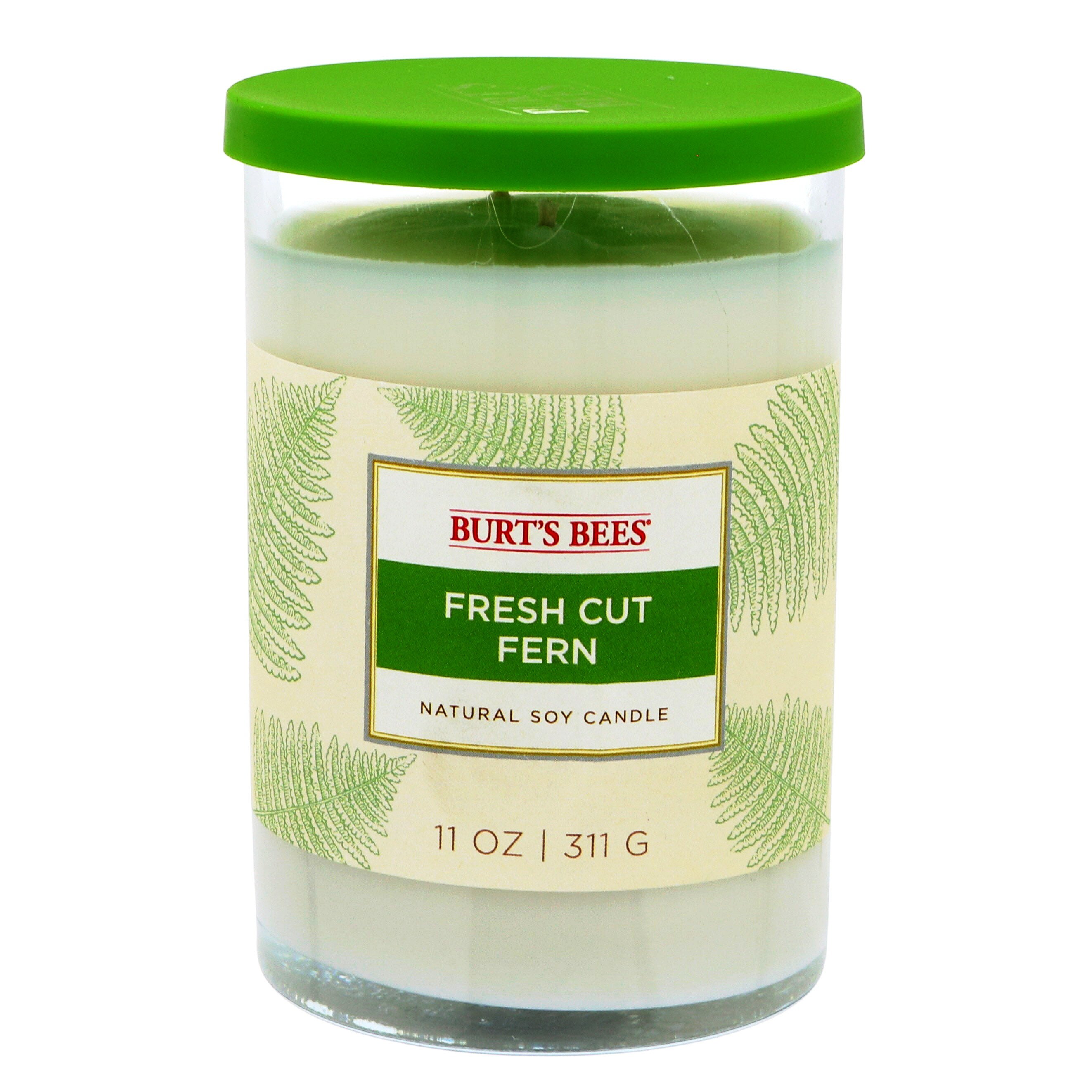 Burt's Bees Fresh Cut Fern Natural Soy Candle Shop Candles at HEB