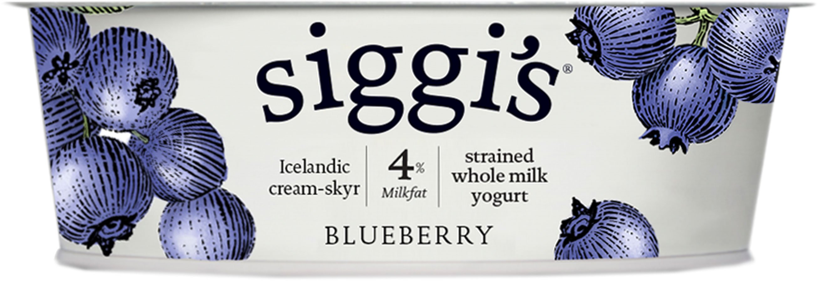 Siggi's 4% Strained Whole Milk Icelandic Style Skyr Blueberry Yogurt ...