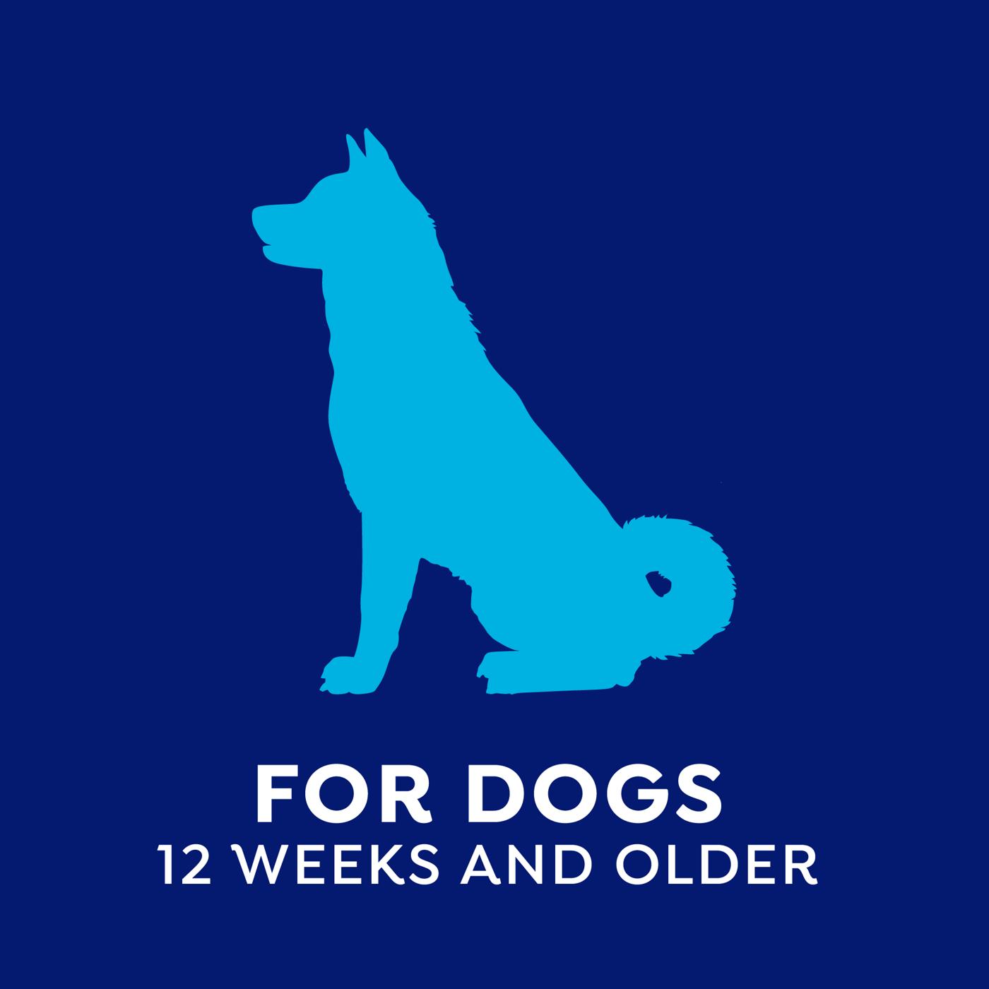 Naturel Promise Fresh Dental Joint Water Additive for Pets; image 3 of 8