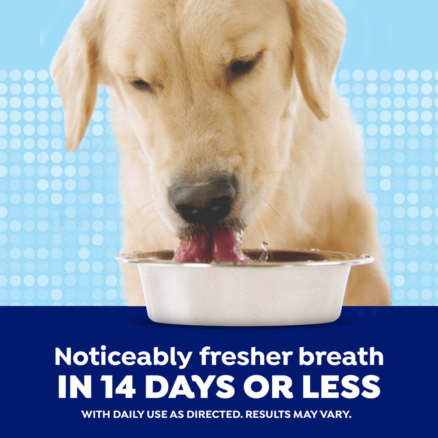 Naturel Promise Fresh Dental Joint Water Additive for Pets; image 4 of 8