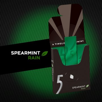 5 GUM Spearmint Rain Sugar Free Gum - 6 Value Pack, 90 pc