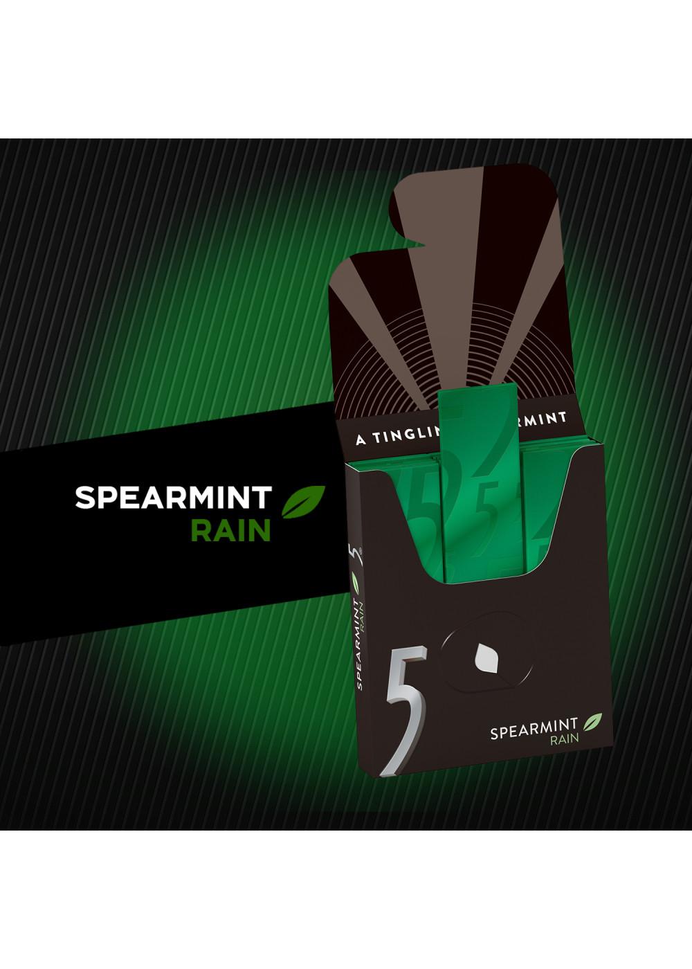 Wrigley's 5 Spearmint Rain Sugarfree Gum, Value Pack; image 7 of 8