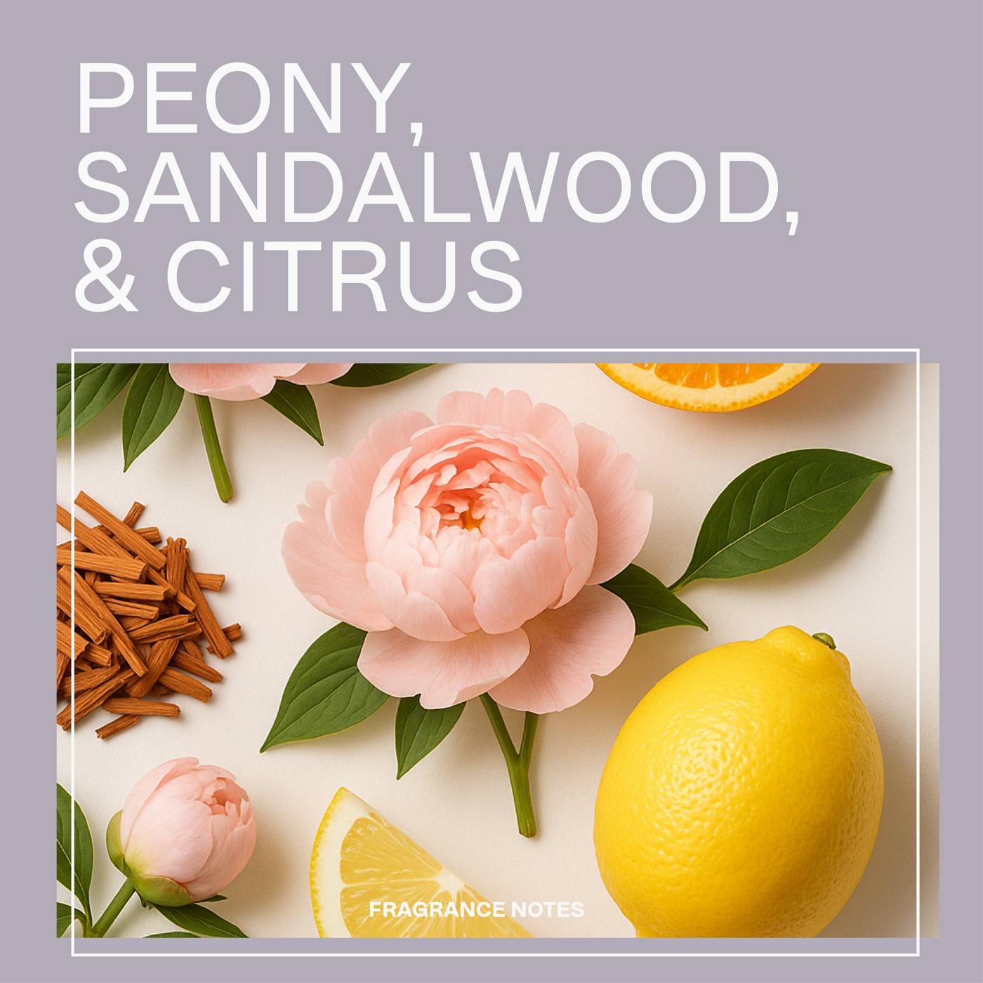 Jhirmack Silver Brightening Purple Toning Shampoo; image 5 of 8