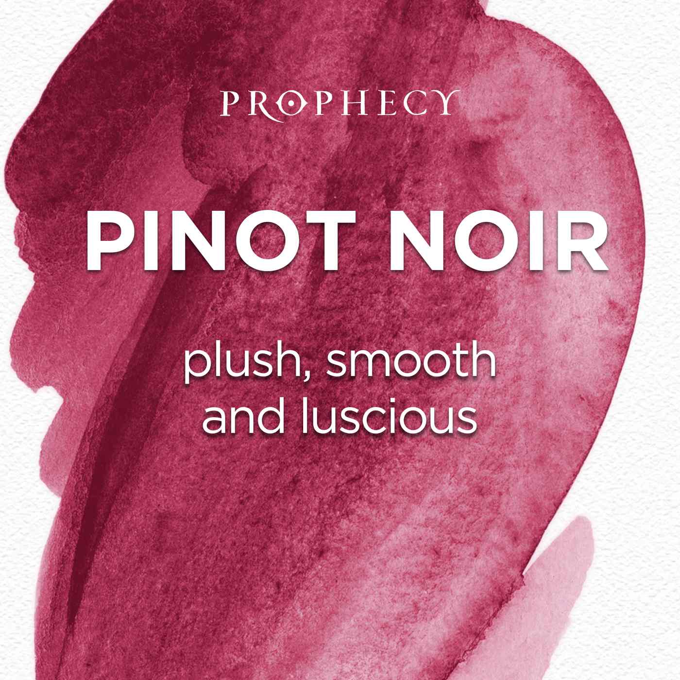 Prophecy Pinot Noir Red Wine; image 3 of 6