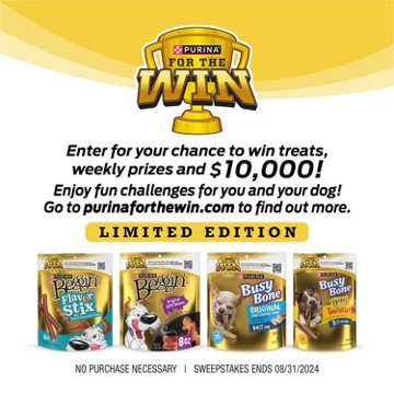 Busy Purina Twist’d With Beggin’ Large Dog Chew Treats