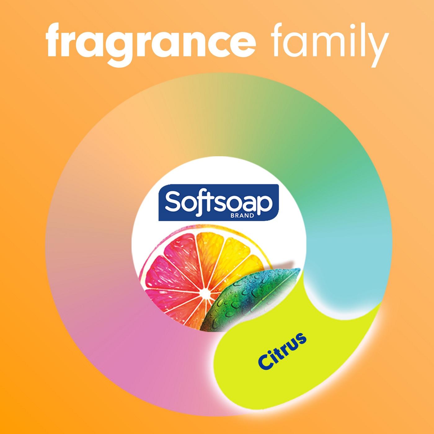 Softsoap Antibacterial Liquid Hand Soap Pump - Crisp Clean; image 3 of 9