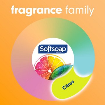 Softsoap Antibacterial Liquid Hand Soap Pump - Crisp Clean