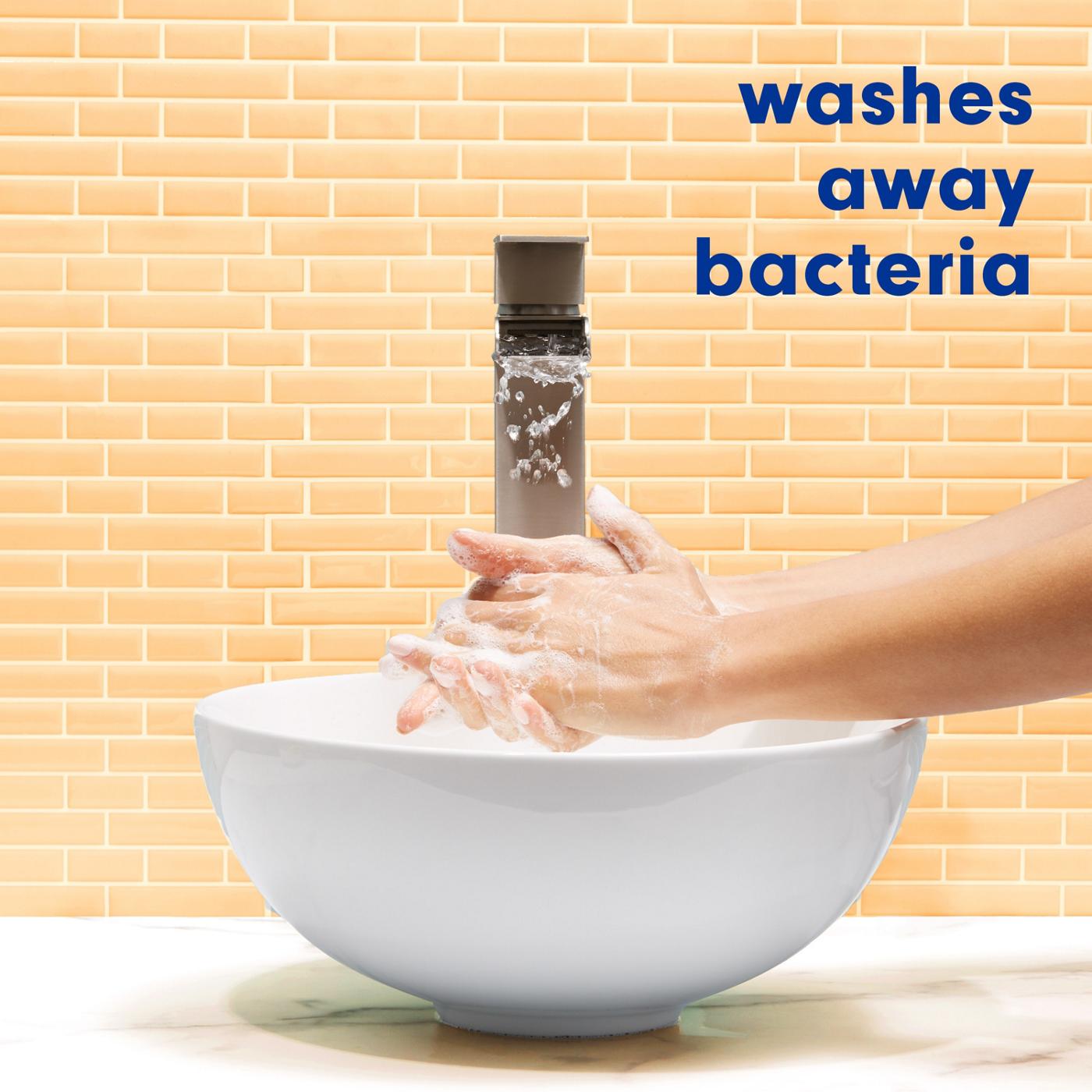 Softsoap Antibacterial Liquid Hand Soap Pump - Crisp Clean; image 5 of 9