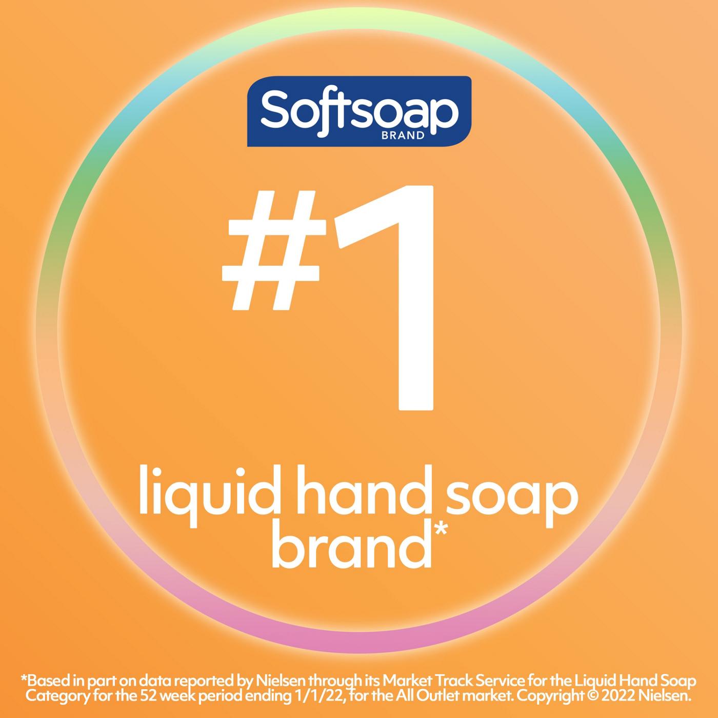 Softsoap Antibacterial Liquid Hand Soap Pump - Crisp Clean; image 8 of 9
