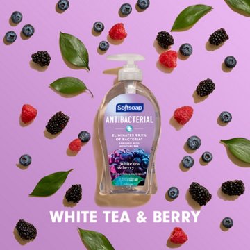 Softsoap Antibacterial Liquid Hand Soap - White Tea & Berry, 11.25 oz