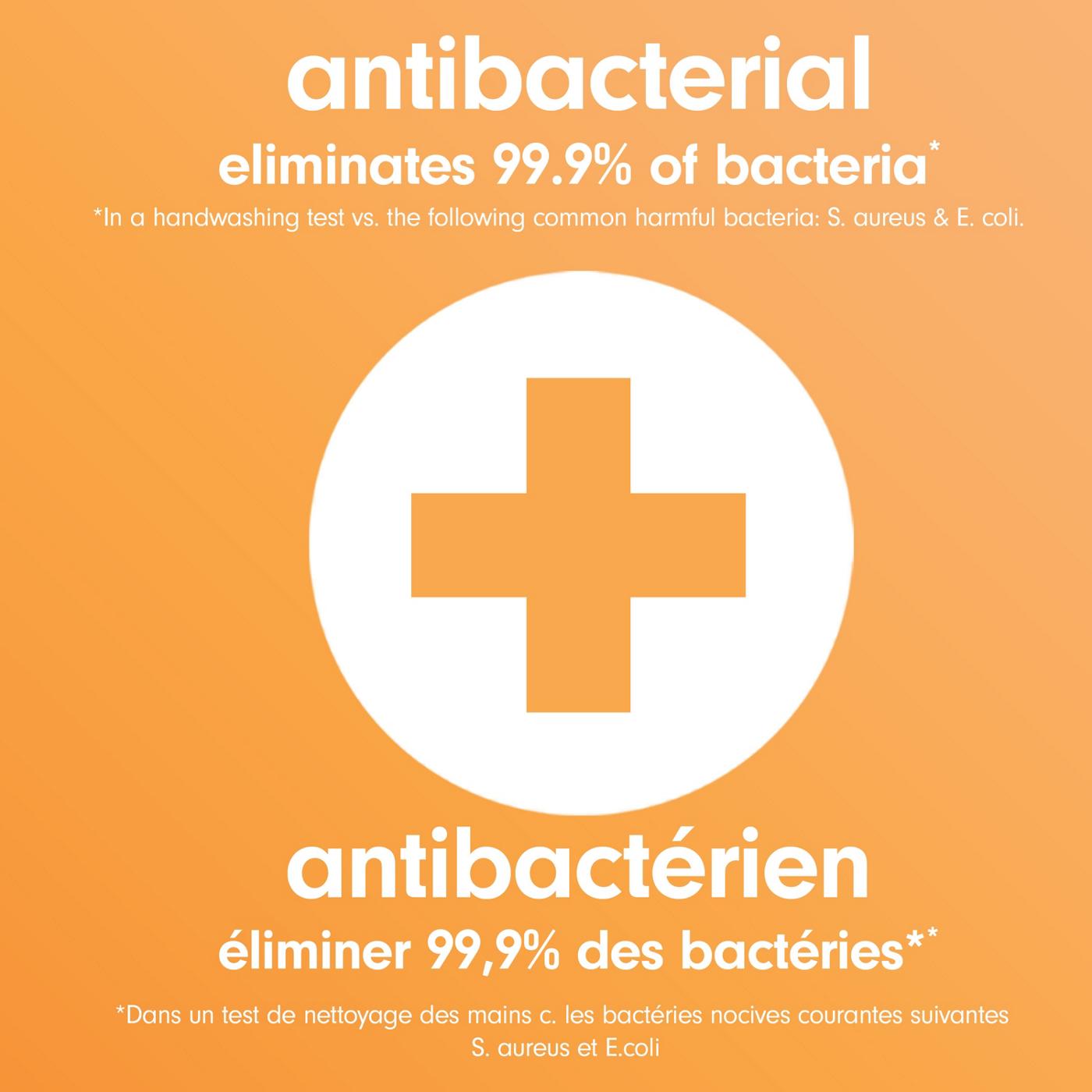 Softsoap Kitchen Fresh Hands Antibacterial Citrus Hand Soap Shop Hand