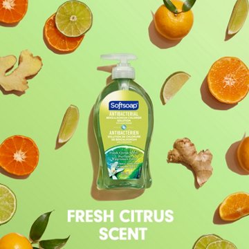 Softsoap Antibacterial Liquid Hand Soap - Fresh Citrus, 11.25 oz