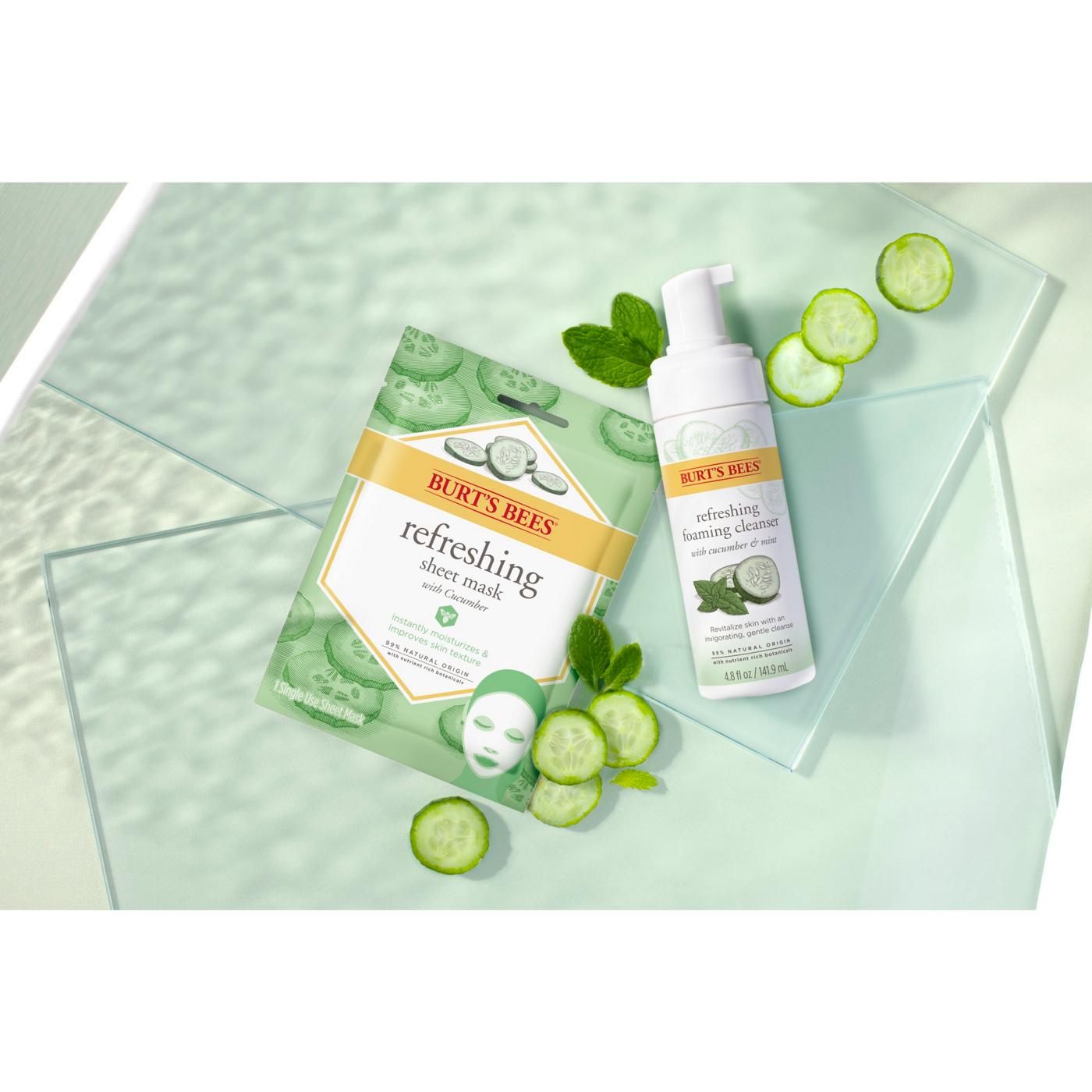 Burt's Bees Cucumber & Mint Refreshing Foaming Face Cleanser; image 2 of 9