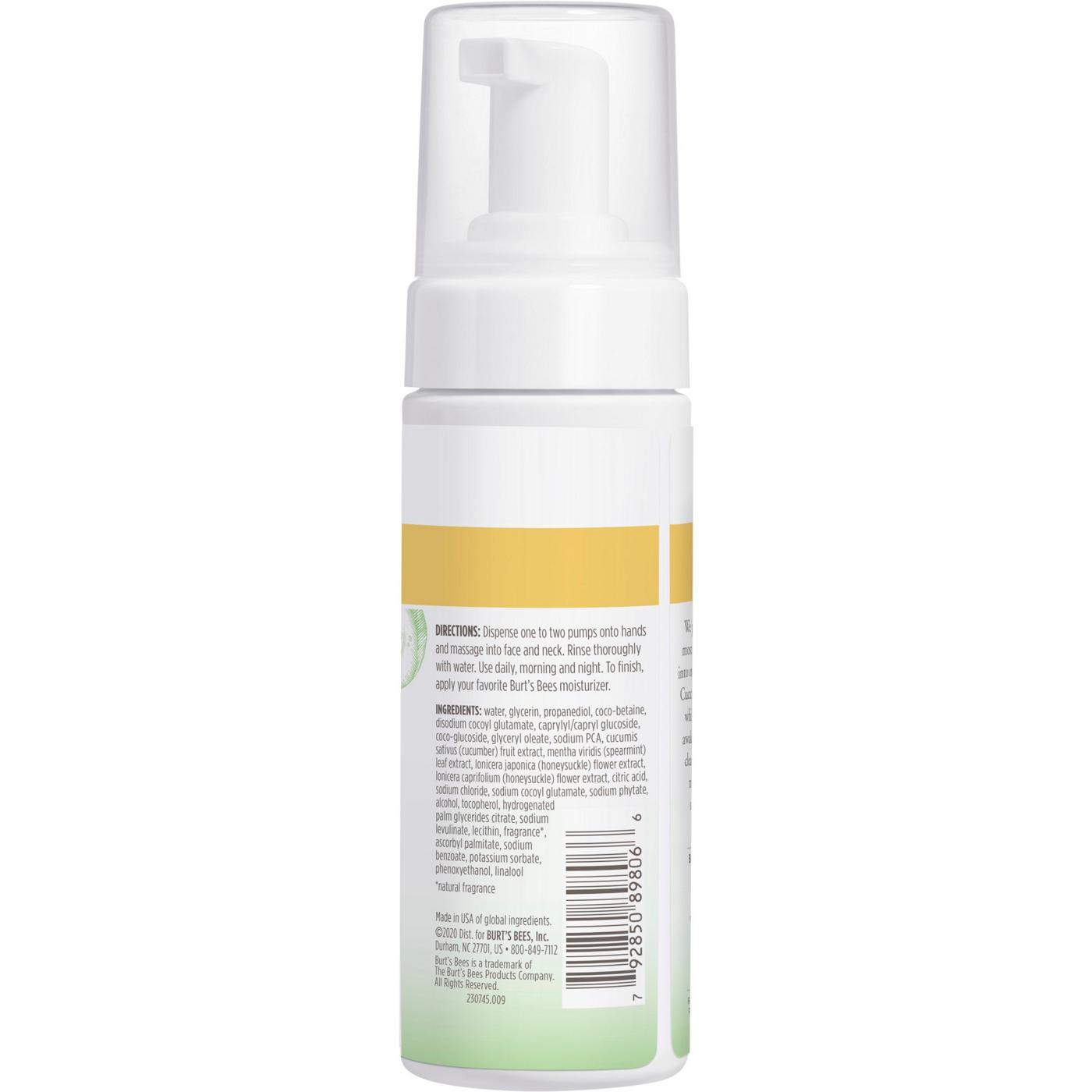 Burt's Bees Cucumber & Mint Refreshing Foaming Face Cleanser; image 3 of 9