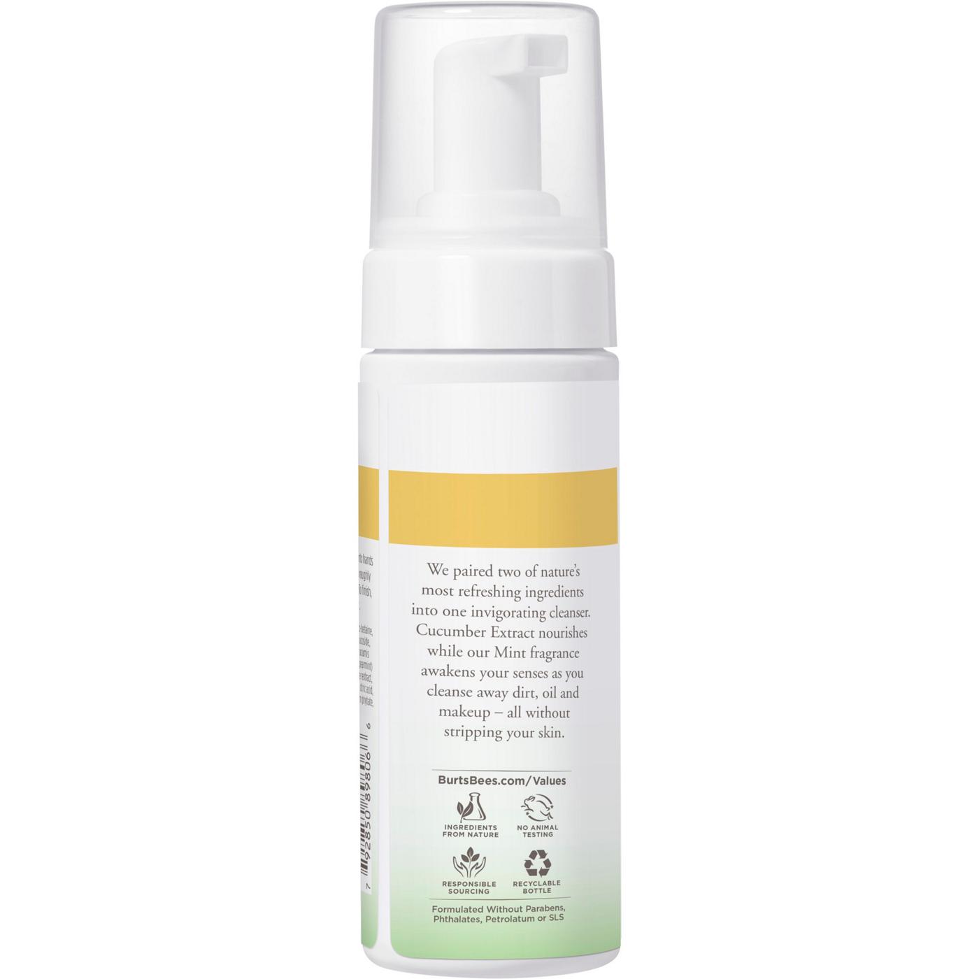 Burt's Bees Cucumber & Mint Refreshing Foaming Face Cleanser; image 9 of 9