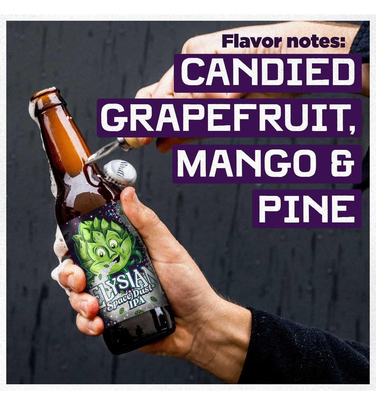 Elysian Space Dust IPA Craft Beer 6 pk  Bottles; image 4 of 8