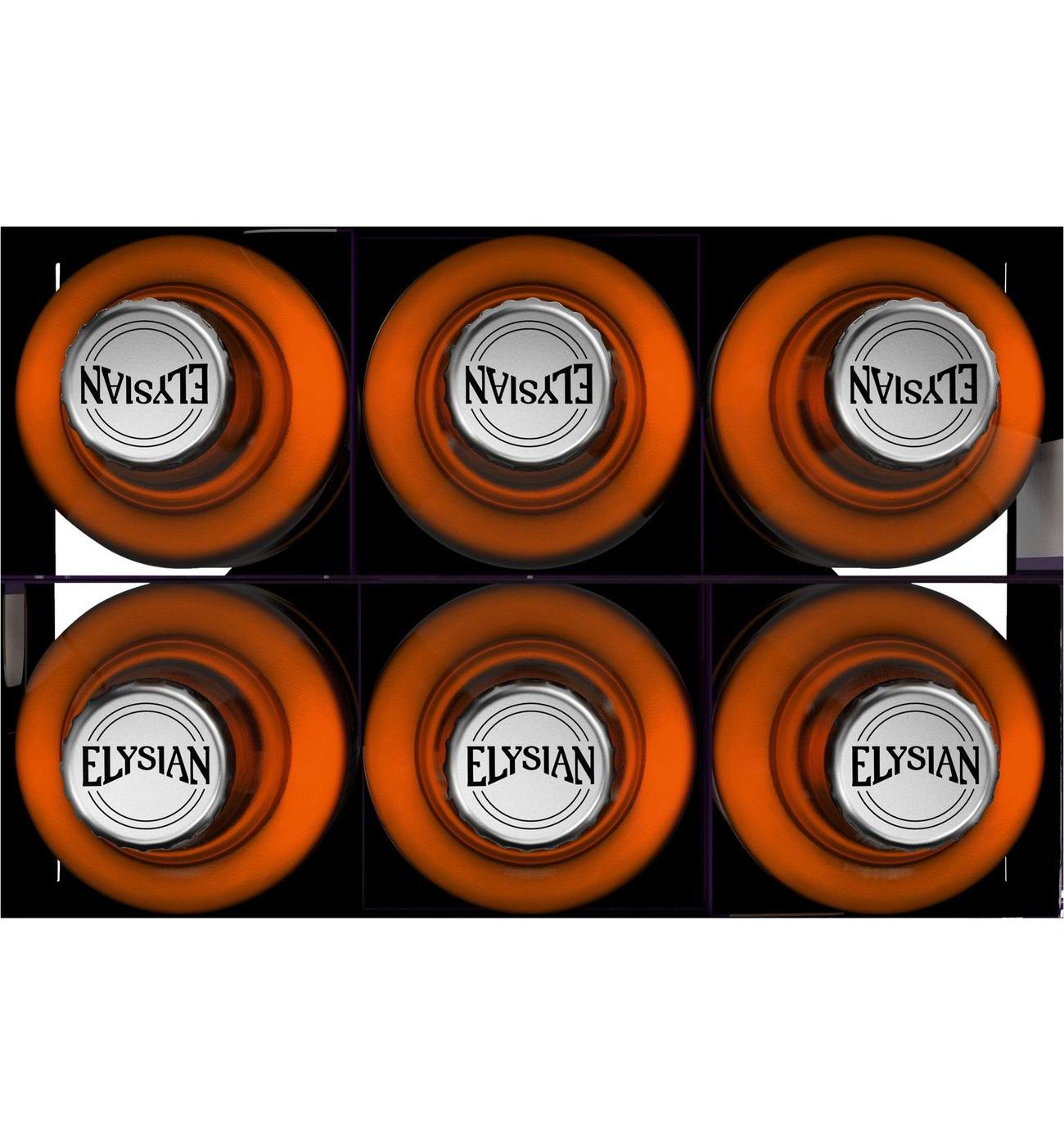 Elysian Space Dust IPA Craft Beer 6 pk  Bottles; image 8 of 8