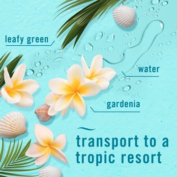 Febreze Air Mist Freshener Odor Fighting Room Spray Value Pack - Bora Bora Waters Scent