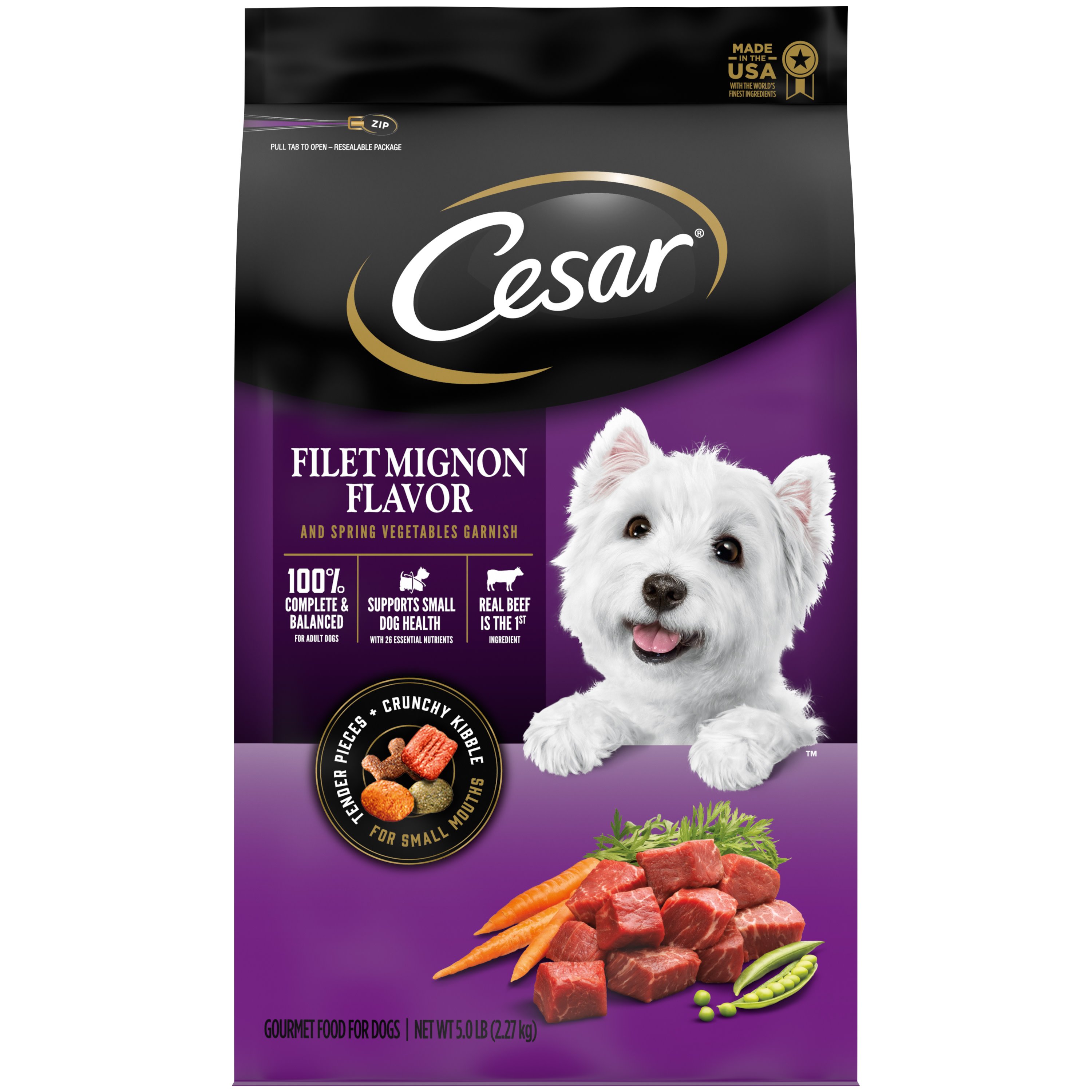 Cesar Filet Mignon Flavor Dry Dog Food Shop Dogs at HEB