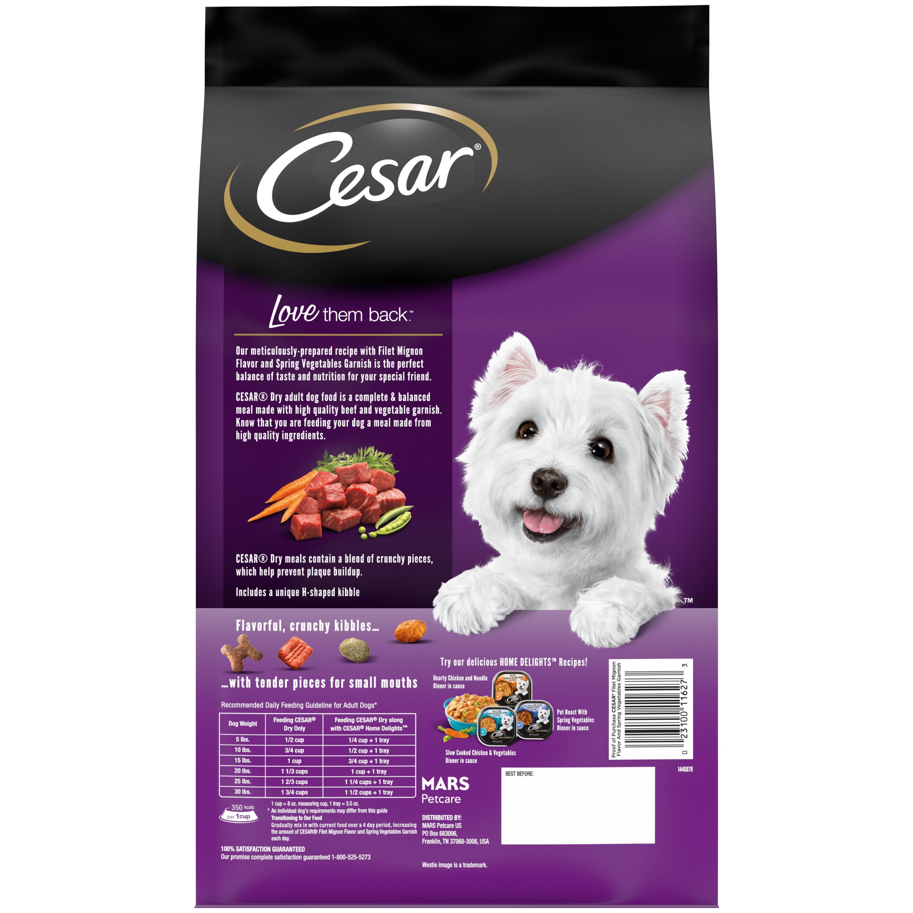 Cesar Filet Mignon Flavor Dry Dog Food