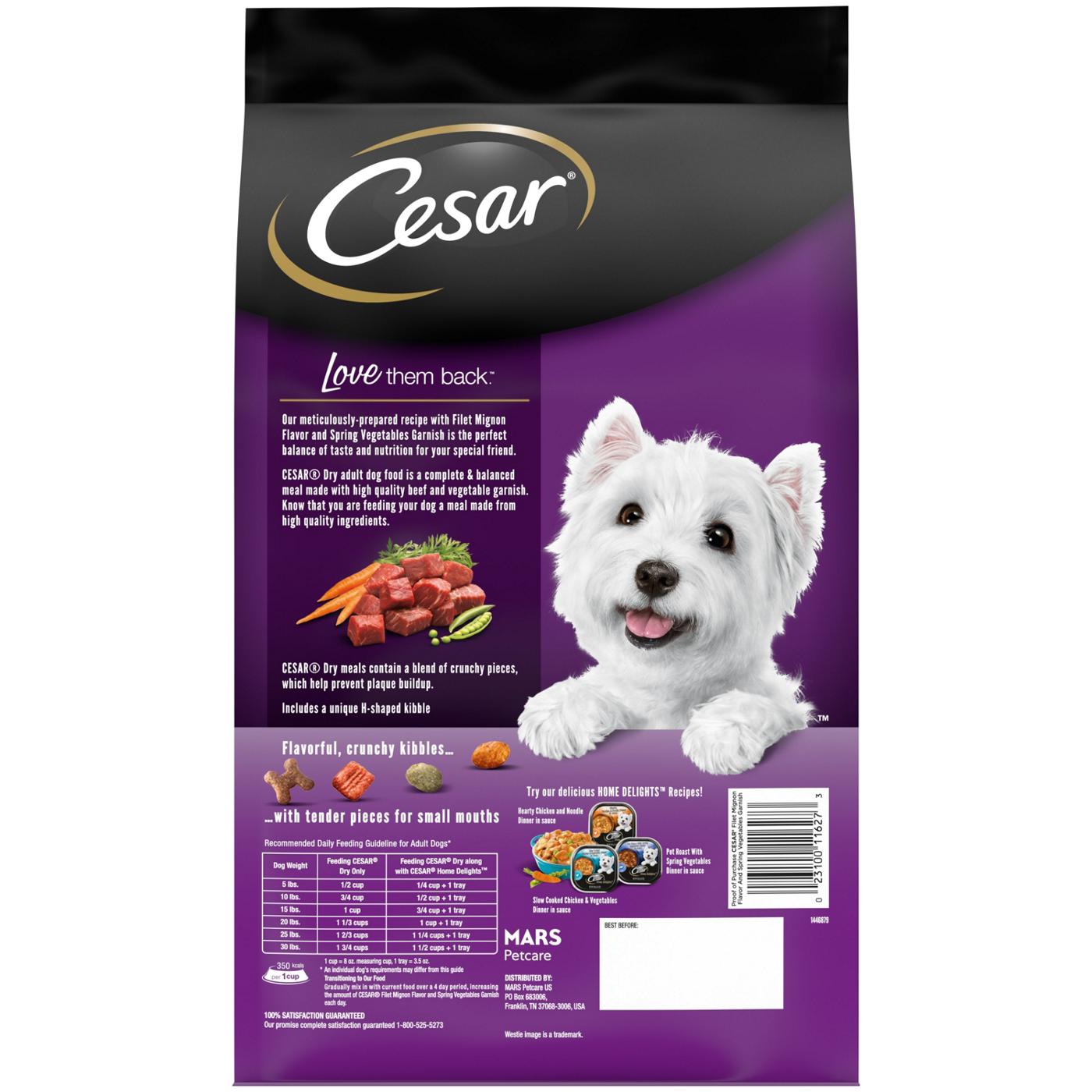 Cesar Filet Mignon Flavor Dry Dog Food Shop Food at H E B