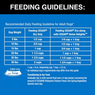 Cesar Small Breed Dry Dog Food - Rotisserie Chicken Flavor with Spring Vegetables Garnish