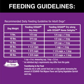 Cesar Small Breed Dry Dog Food - Filet Mignon Flavor with Spring Vegetables Garnish