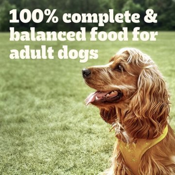 Pedigree Chopped Ground Dinner Adult Wet Dog Food - Cheese