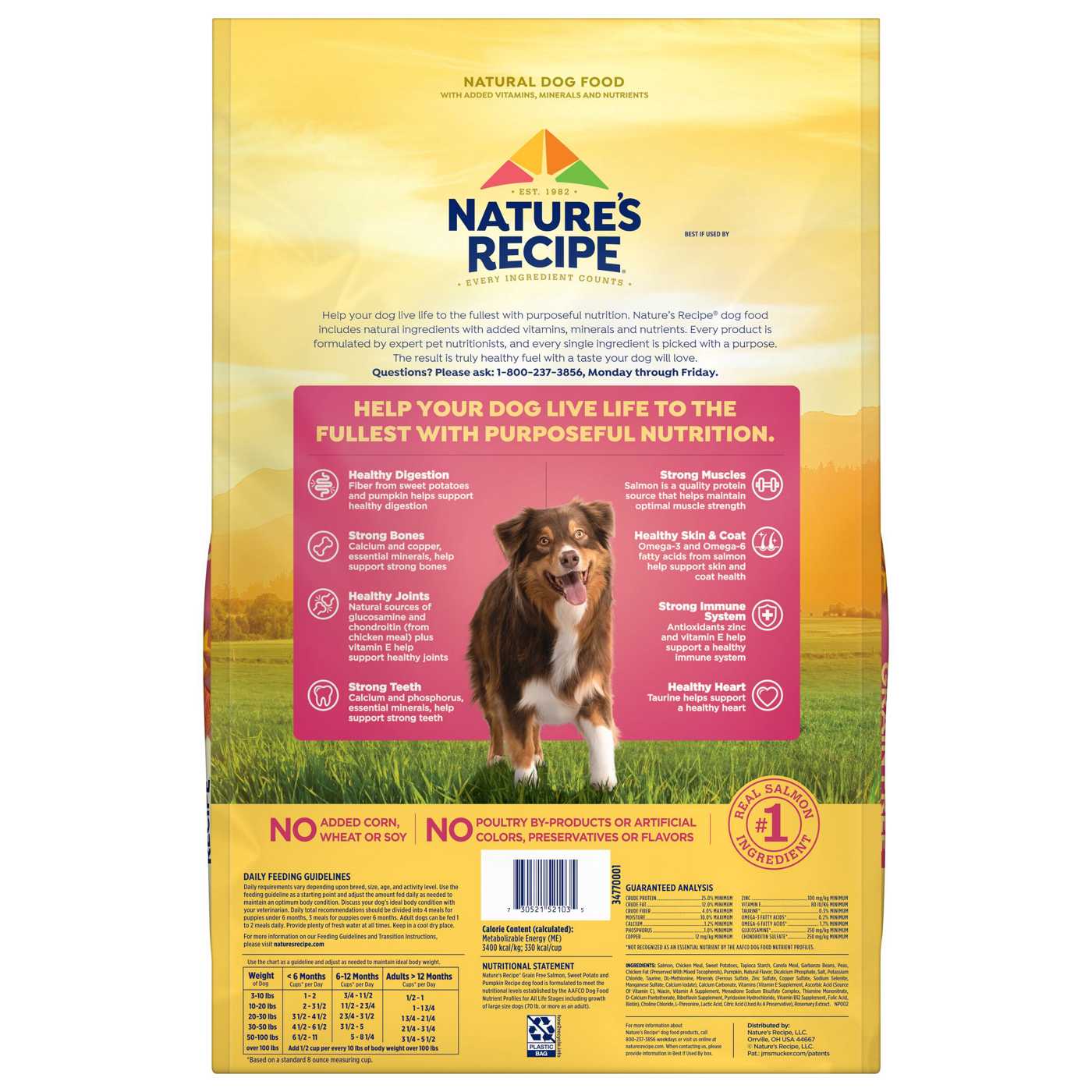 Nature s Recipe Grain Free Salmon Recipe Dry Dog Food Shop Food