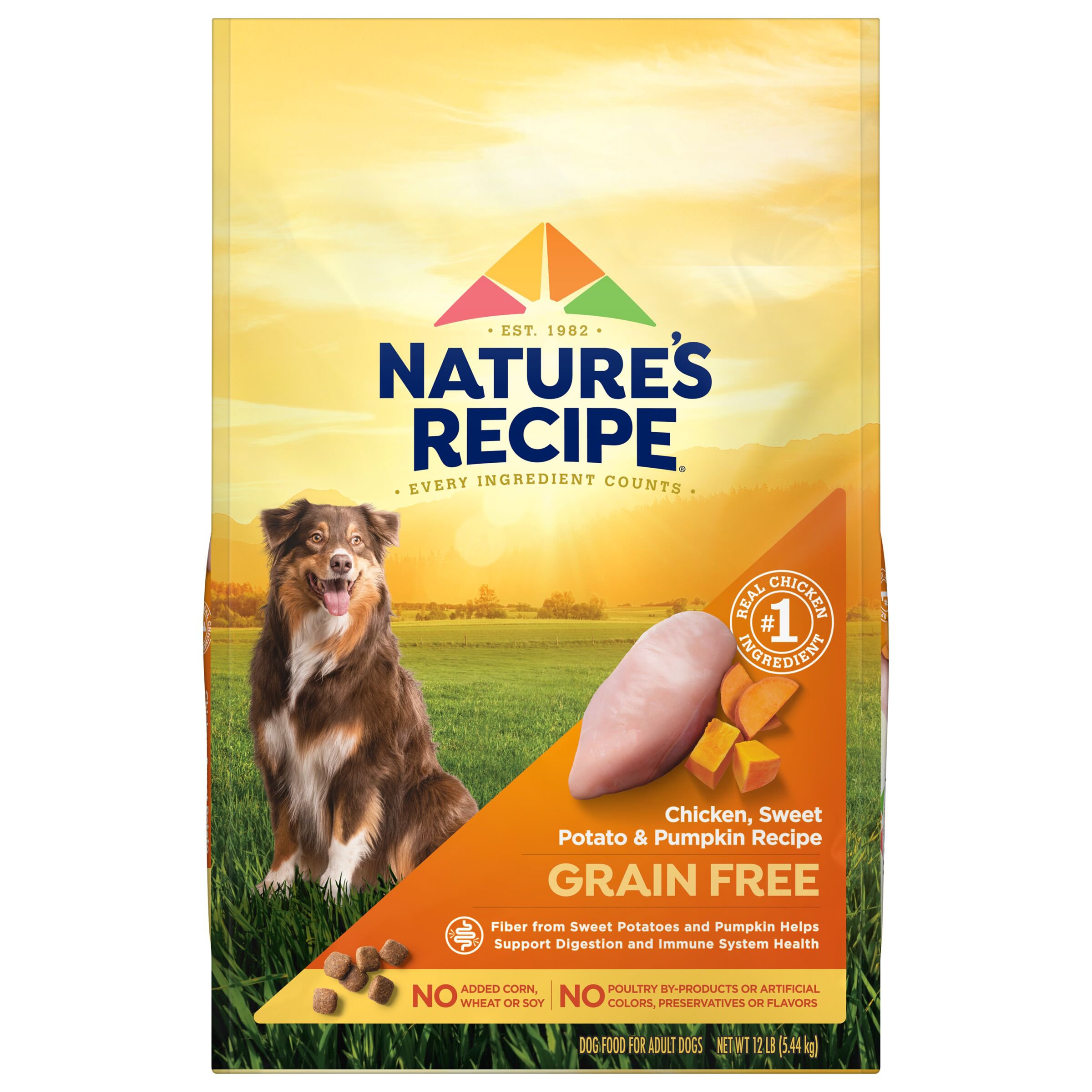 Nature S Recipe Grain Free Chicken Recipe Dry Dog Food Shop Dogs At H E B