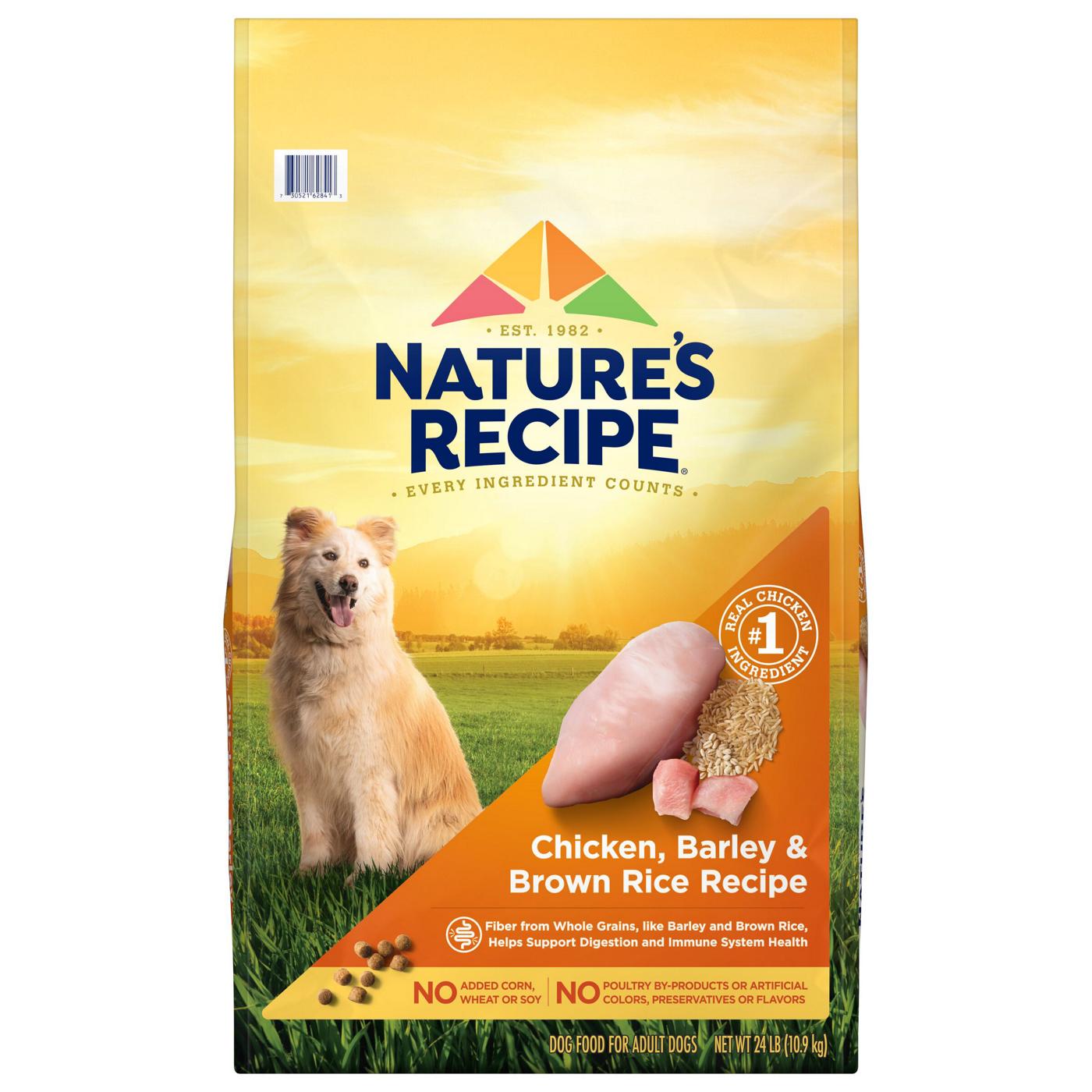 Nature's Recipe Chicken & Brown Rice Recipe Dry Dog Food; image 1 of 2