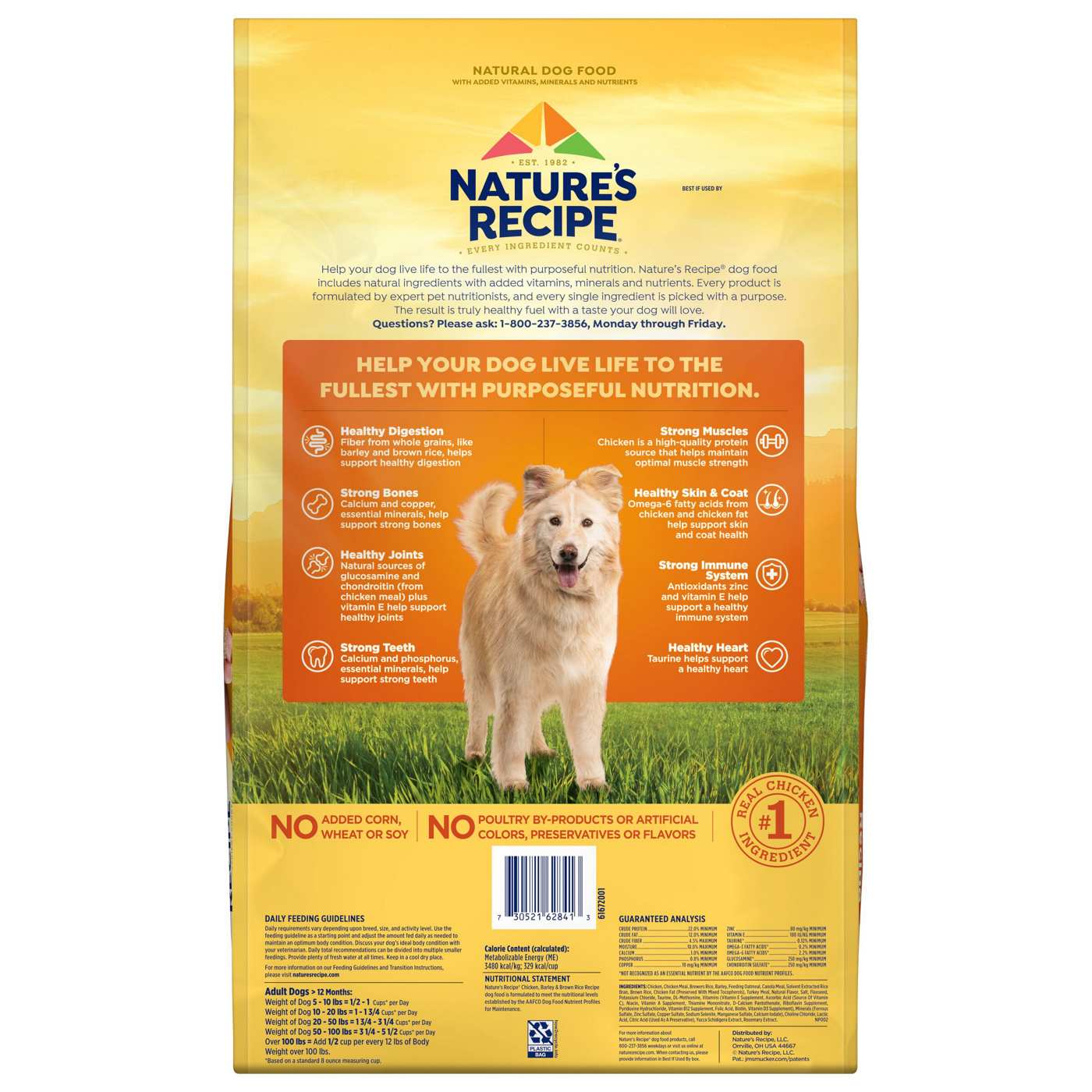 Natures Recipe Chicken And Brown Rice Recipe Dry Dog Food Shop Food At