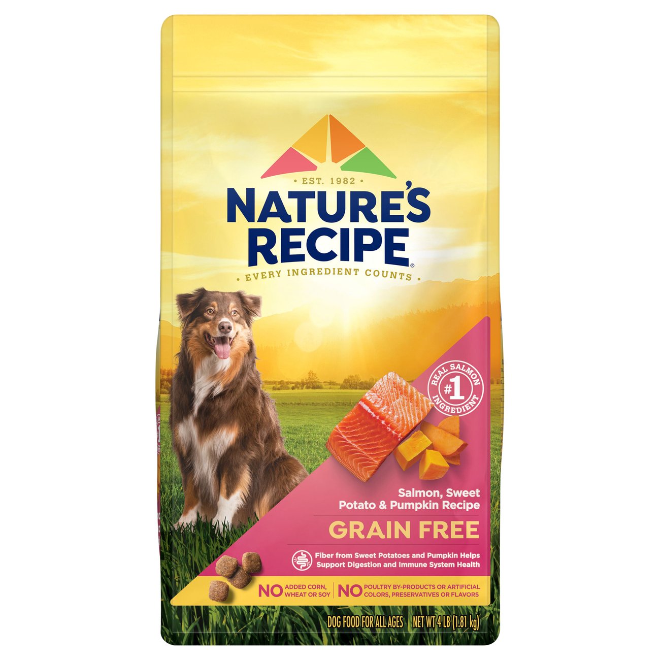 Nature's recipe store grain free salmon