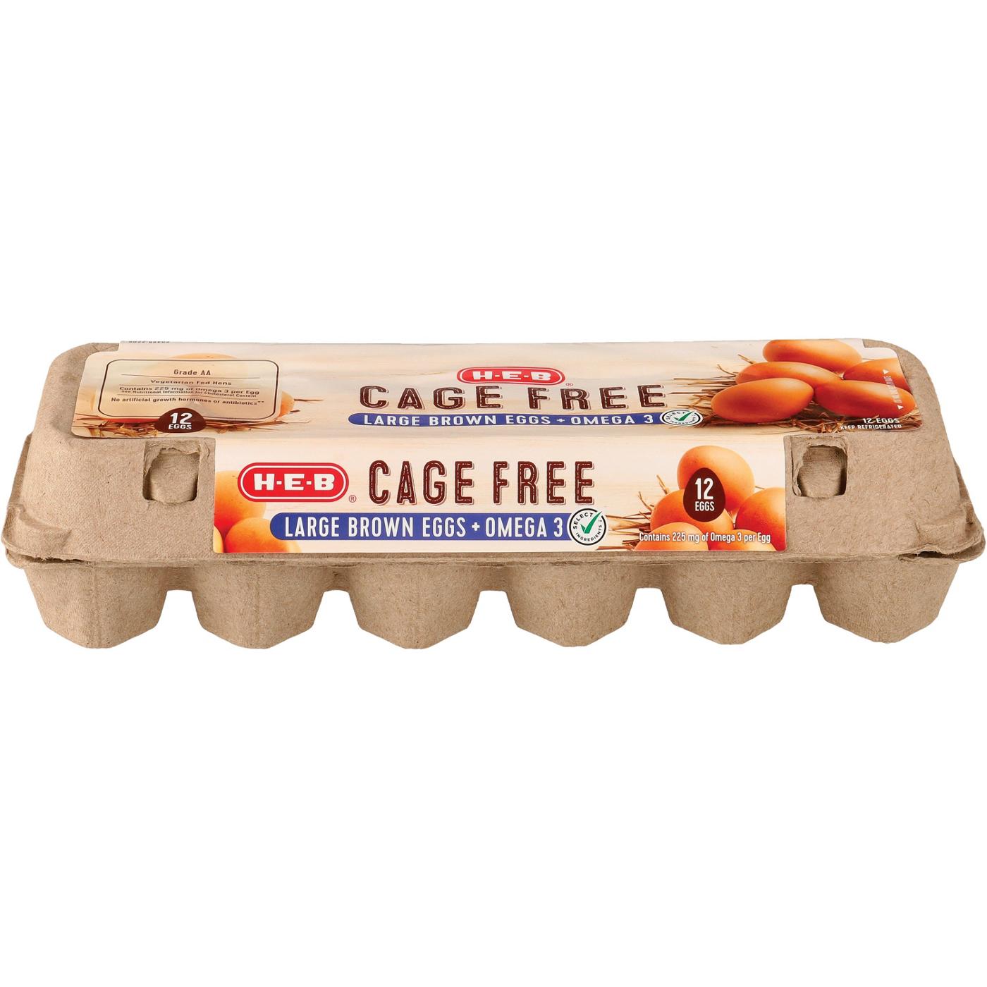 H-E-B Cage Free Omega-3 Grade AA Large Brown Eggs; image 1 of 3