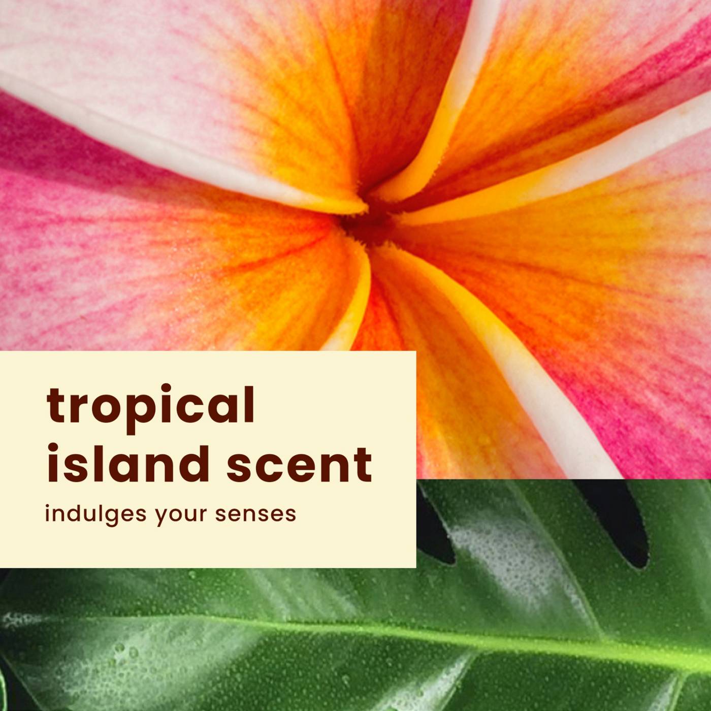 Hawaiian Tropic Everyday Active Sunscreen Lotion - SPF 30; image 5 of 8