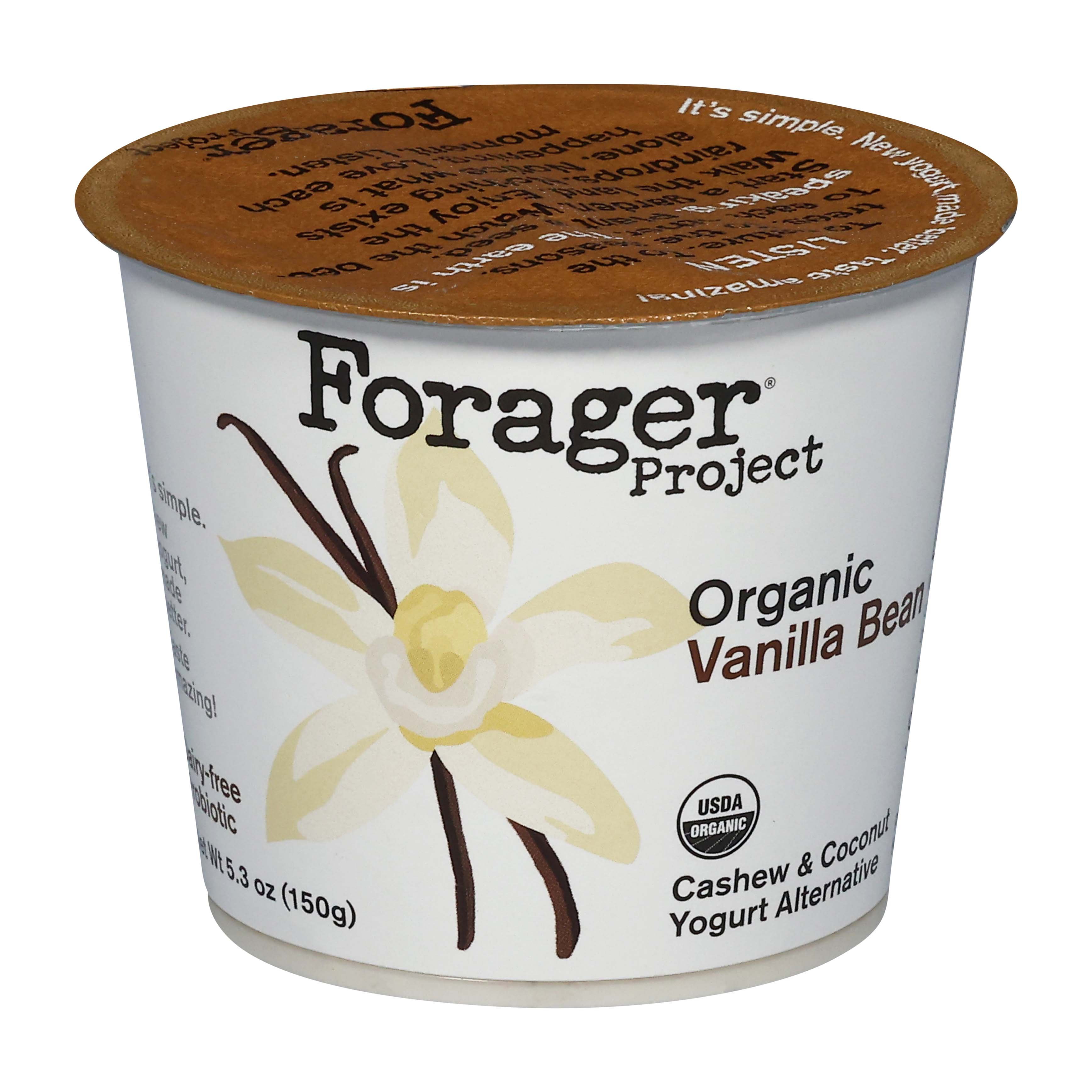 Forager Organic Vanilla Bean Cashew Yogurt Shop Yogurt at HEB