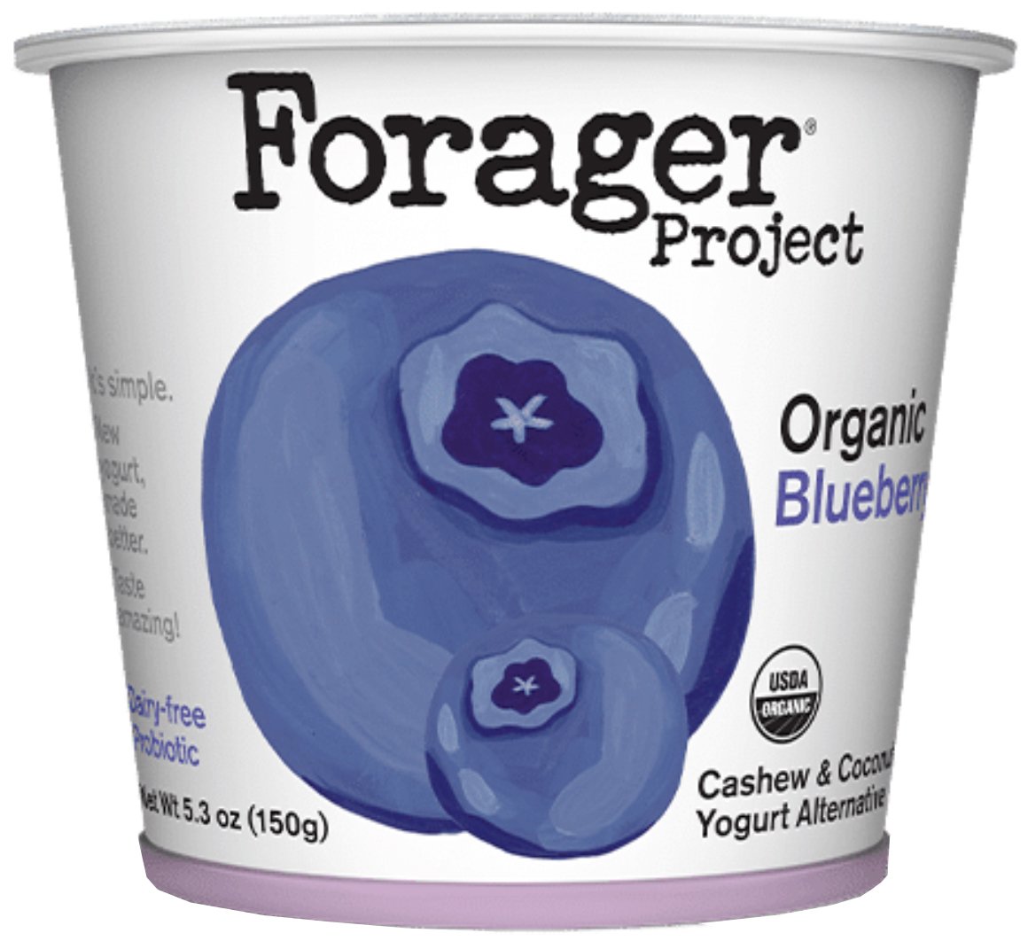 Forager Project Organic Blueberry Cashew & Coconut Yogurt - Shop Yogurt ...