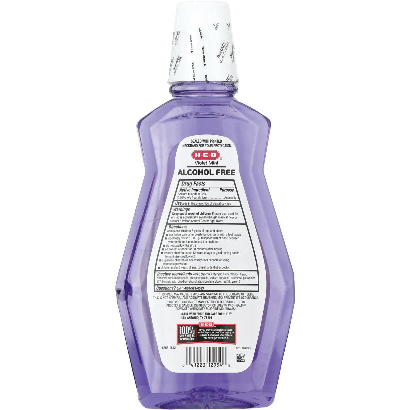 H-E-B Alcohol Free Mouth Rinse - Violet Mint - Shop Mouthwash at H-E-B