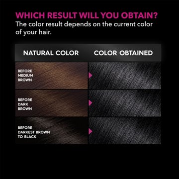 Garnier Olia Oil Powered Ammonia Free Permanent Hair Color 2.11 Platinum Black