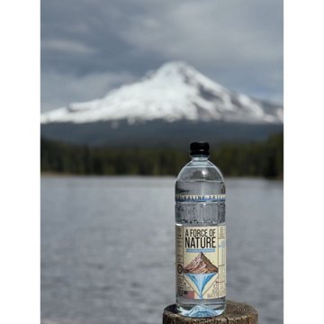 A Force of Nature Alkaline Artesian Water, 1 L