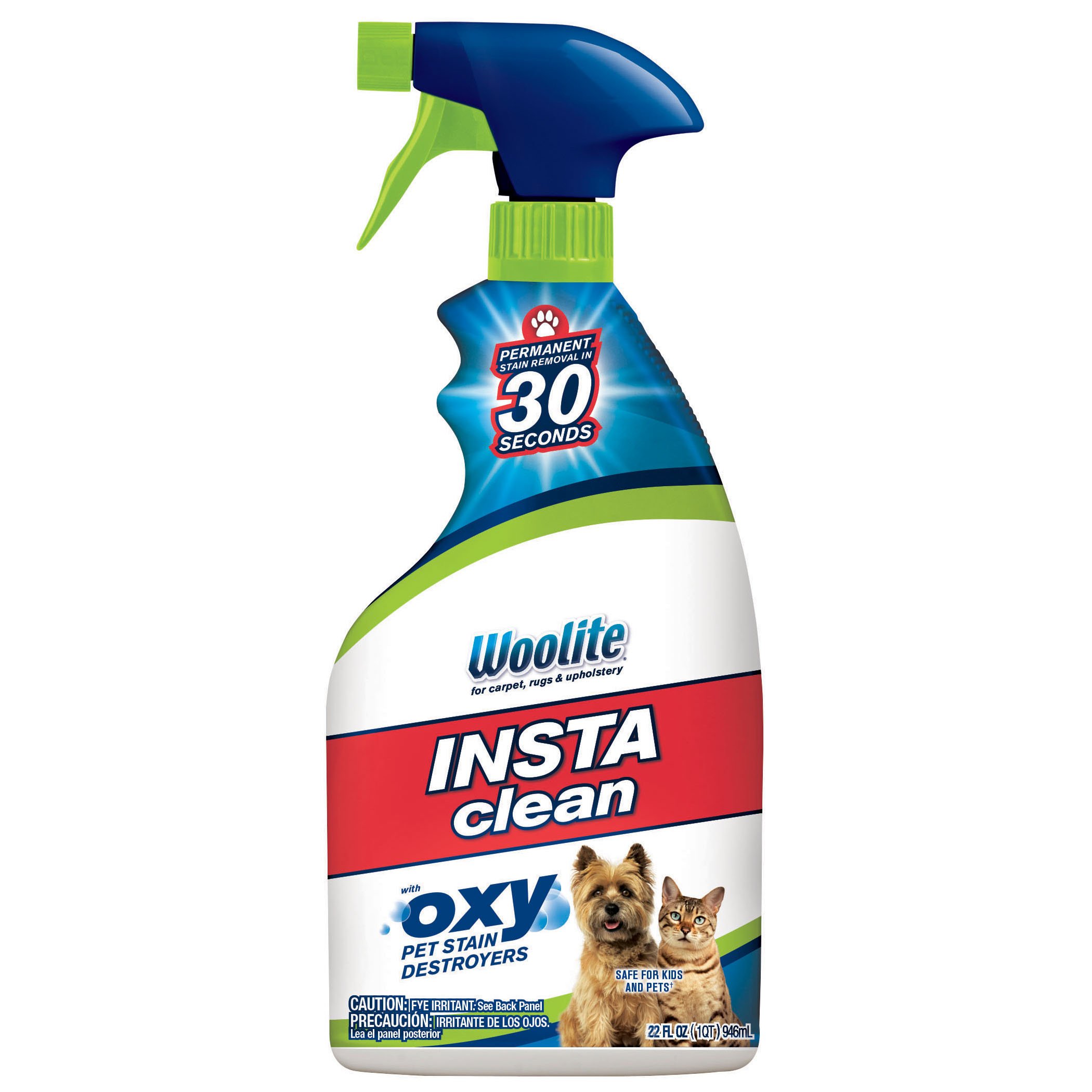 Woolite Instaclean Oxy Pet Stain Remover with Brush - Shop Carpet &  Upholstery Cleaners at H-E-B