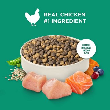 Rachael Ray Nutrish Indoor Complete Chicken with Lentils & Salmon Recipe Dry Cat Food, 3 lb