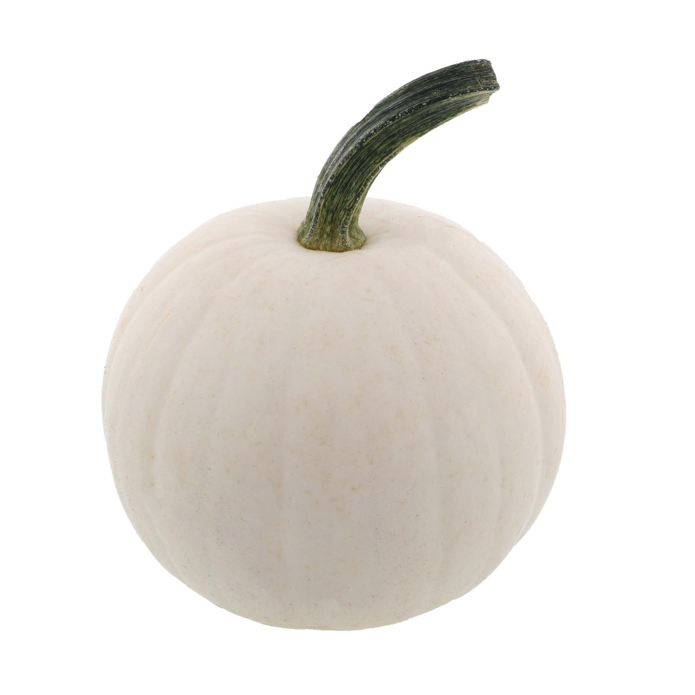 H-E-B Texas Roots Snowball Pumpkin; image 1 of 3