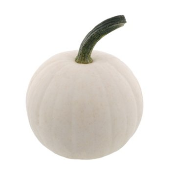 H-E-B Texas Roots Snowball Pumpkins