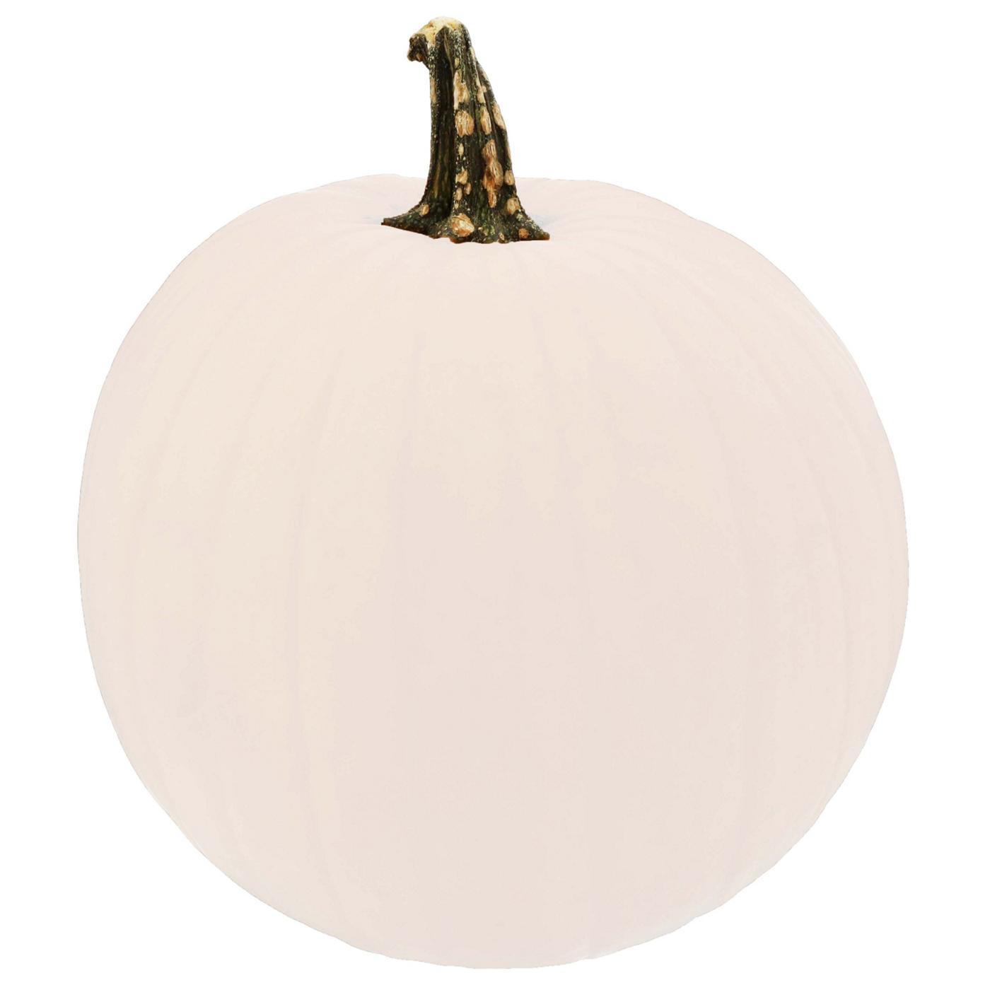 H-E-B Texas Roots Polar Bear Pumpkin; image 1 of 2