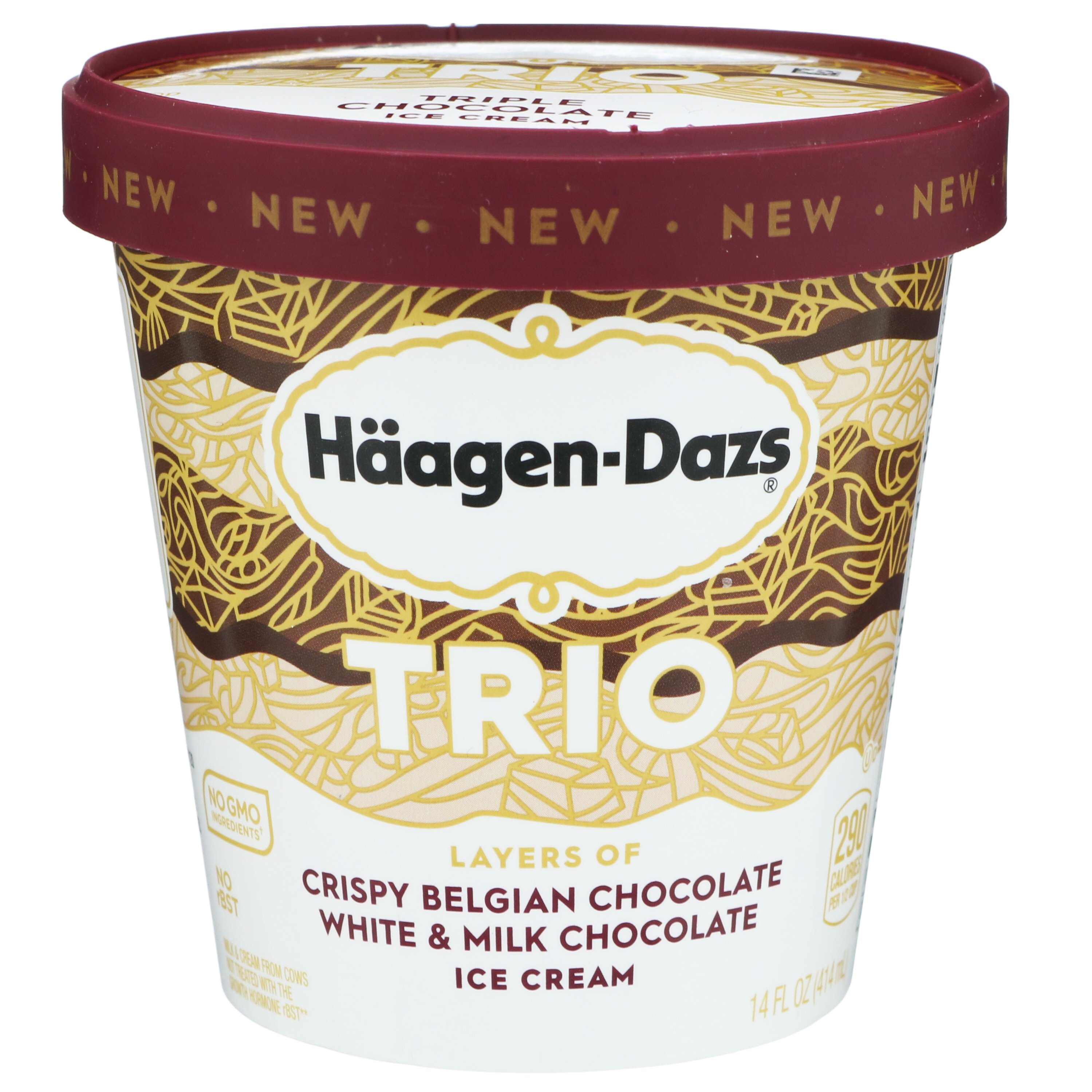 Haagen-Dazs Trio Triple Chocolate Ice Cream, 14 oz | Central