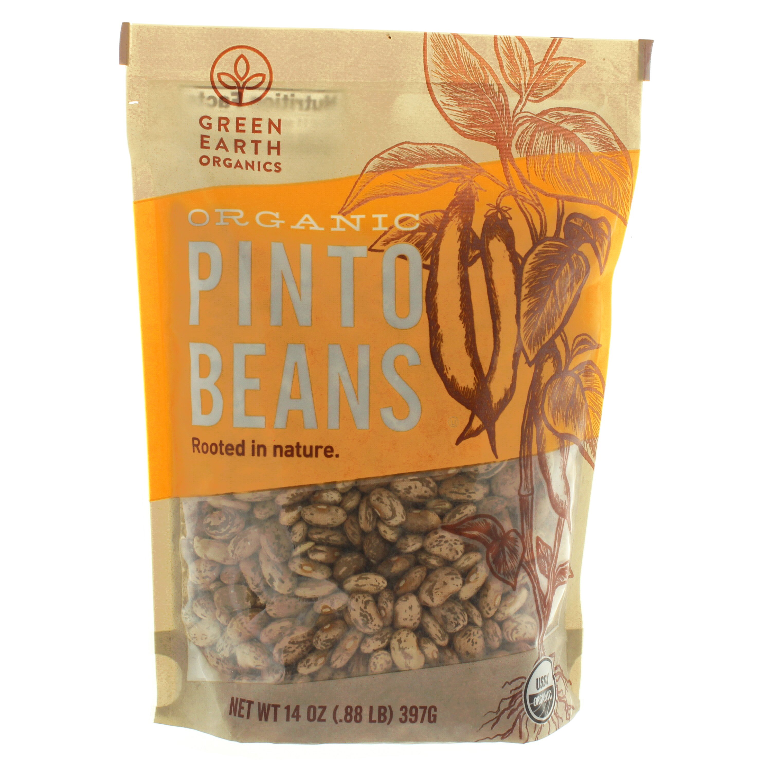 Green Earth Organics Organic Pinto Beans Shop Beans And Legumes At H E B