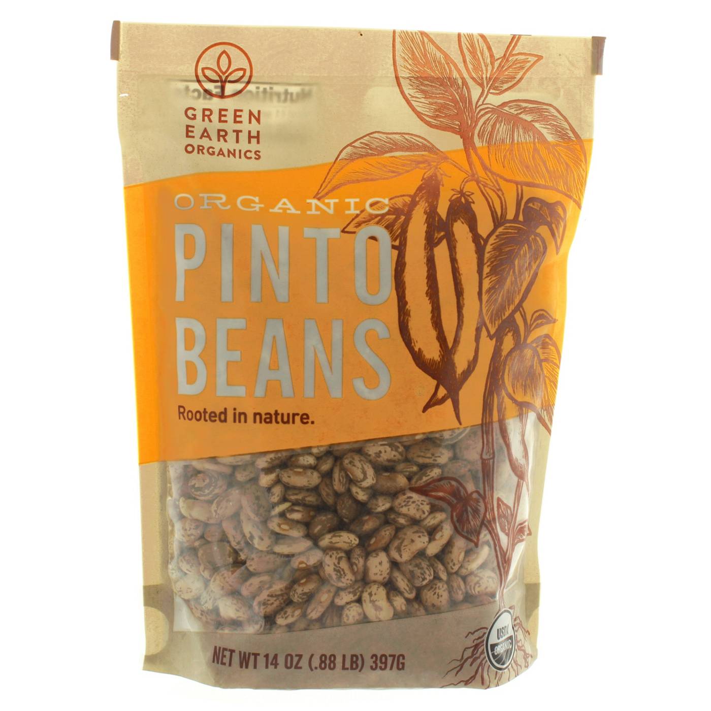 Green Earth Organics Organic Pinto Beans; image 1 of 2