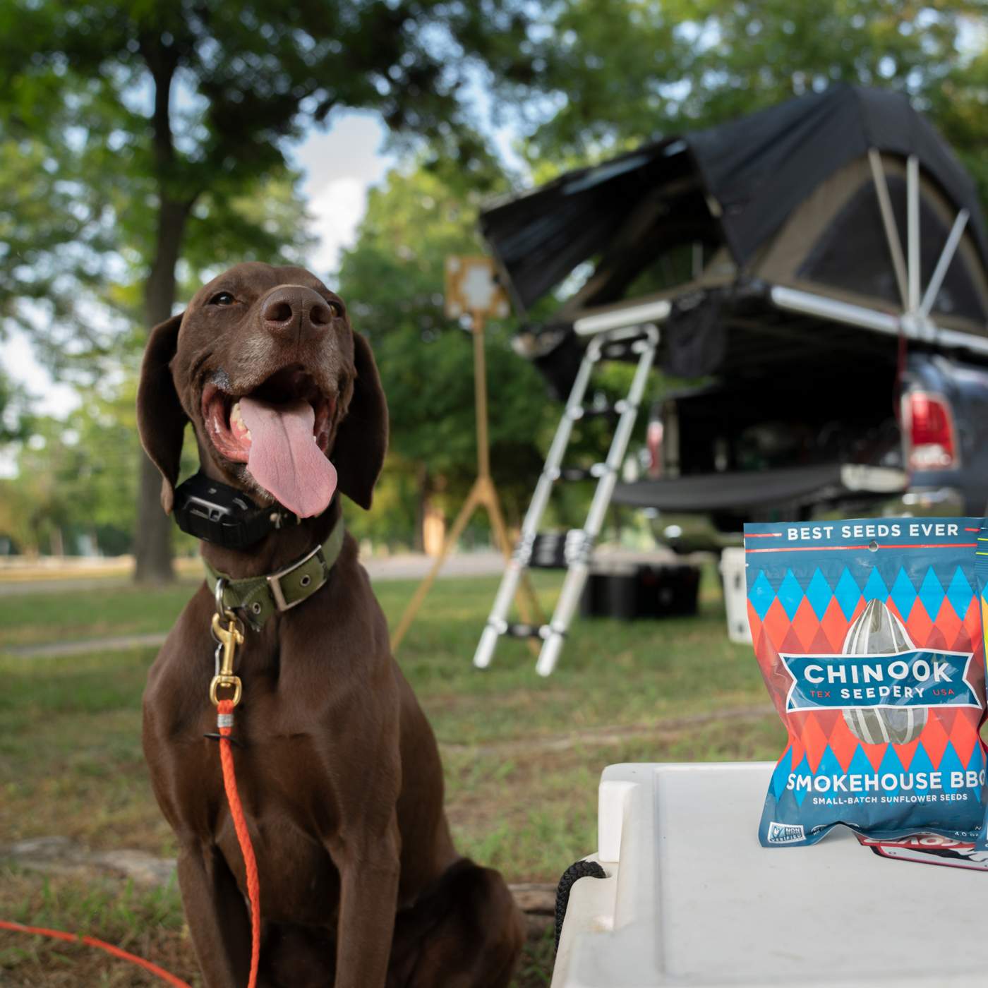 Chinook Seedery Smokehouse BBQ Sunflower Seeds Shop Nuts & seeds at HEB