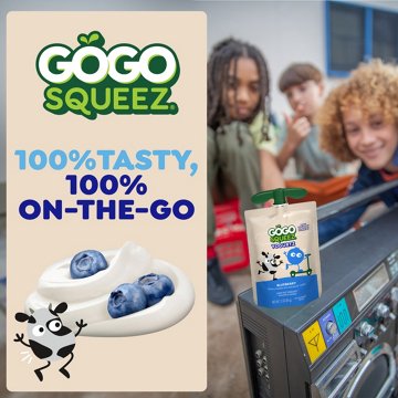GoGo squeeZ yogurtZ Low Fat Blueberry Yogurt Snack Pouches